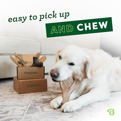 Benebone Large 4-Pack Dog Chew Toys for Aggressive Chewers, Made in USA, 90lbs and Under