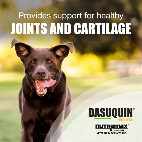 Nutramax Laboratories Dasuquin with MSM Joint Health Supplement for Large Dogs - With Glucosamine, MSM, Chondroitin, ASU, Boswellia Serrata Extract, and Green Tea Extract, 150 Chewable Tablets