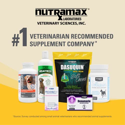 Nutramax Laboratories Dasuquin with MSM Joint Health Supplement for Large Dogs - With Glucosamine, MSM, Chondroitin, ASU, Boswellia Serrata Extract, and Green Tea Extract, 150 Soft Chews