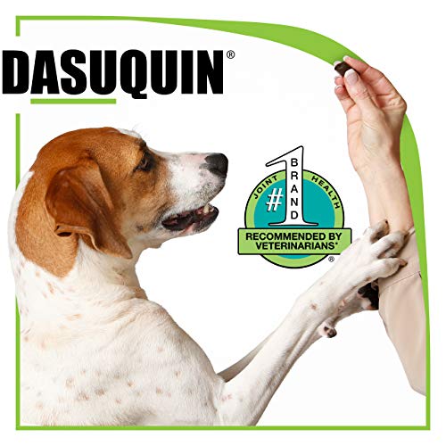 Nutramax Laboratories Dasuquin with MSM Joint Health Supplement for Large Dogs - With Glucosamine, MSM, Chondroitin, ASU, Boswellia Serrata Extract, and Green Tea Extract, 150 Soft Chews