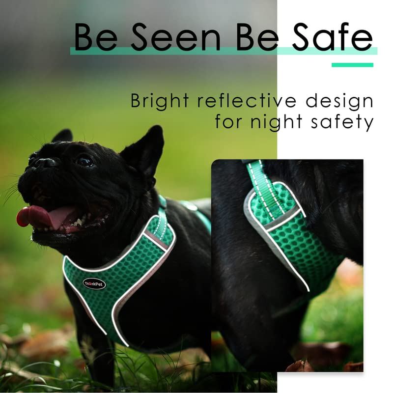 ThinkPet Reflective Breathable Soft Air Mesh No Pull Puppy Choke Free Over Head Vest Harness for Puppy Small Medium Dogs and Cats Teal Medium