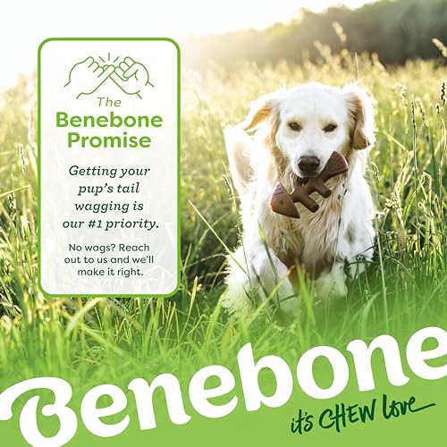 Benebone Large 4-Pack Dog Chew Toys for Aggressive Chewers, Made in USA, 90lbs and Under