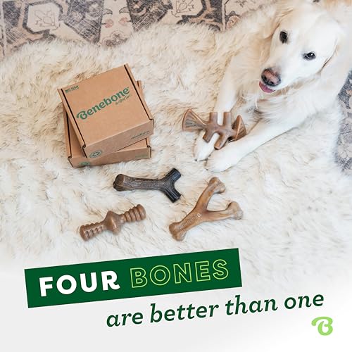 Benebone Large 4-Pack Dog Chew Toys for Aggressive Chewers, Made in USA, 90lbs and Under