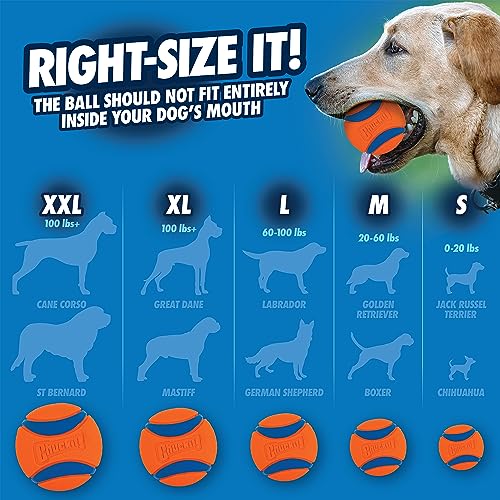 Chuckit! Ultra Ball Dog Toy, Medium (2.5 Inch Diameter) Pack of 2, for breeds 20-60 lbs