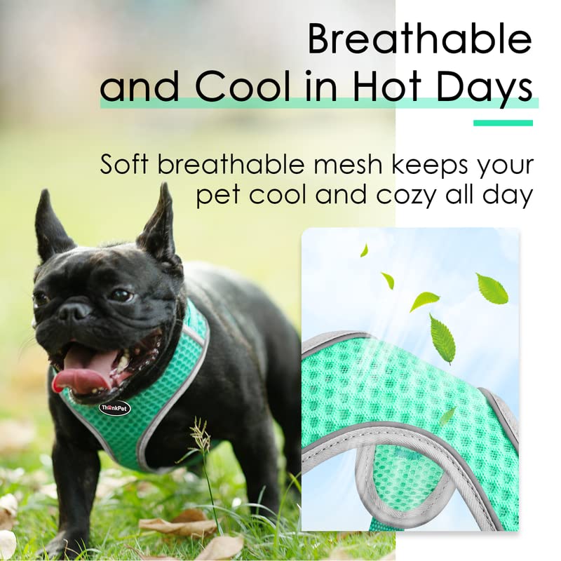 ThinkPet Reflective Breathable Soft Air Mesh No Pull Puppy Choke Free Over Head Vest Harness for Puppy Small Medium Dogs and Cats Teal Medium