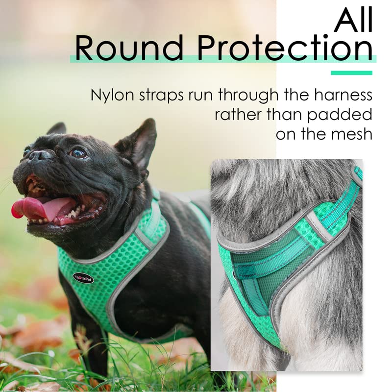 ThinkPet Reflective Breathable Soft Air Mesh No Pull Puppy Choke Free Over Head Vest Harness for Puppy Small Medium Dogs and Cats Teal Medium