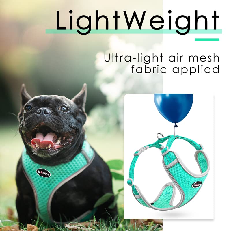 ThinkPet Reflective Breathable Soft Air Mesh No Pull Puppy Choke Free Over Head Vest Harness for Puppy Small Medium Dogs and Cats Teal Medium