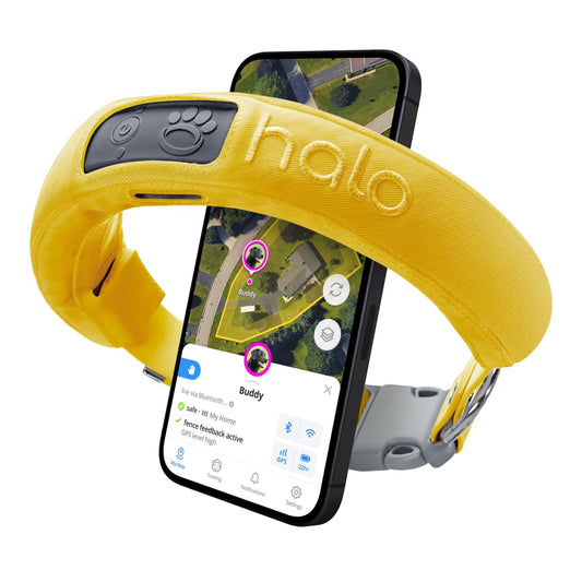 Halo Collar 3 - GPS Dog Fence - Multifunction Wireless Dog Fence & Training Collar with Real-Time Tracking & GPS - Waterproof, Instantly Create and Store Wireless Fences (Small, Sunburst)