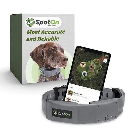 SpotOn GPS Dog Fence, App Based Wireless Dog Fence Collar, Waterproof, Reliable 128 Satellite Network GPS Dog Fence System, Battery Powered Virtual Dog GPS Tracker for All Terrain Medium/Verizon