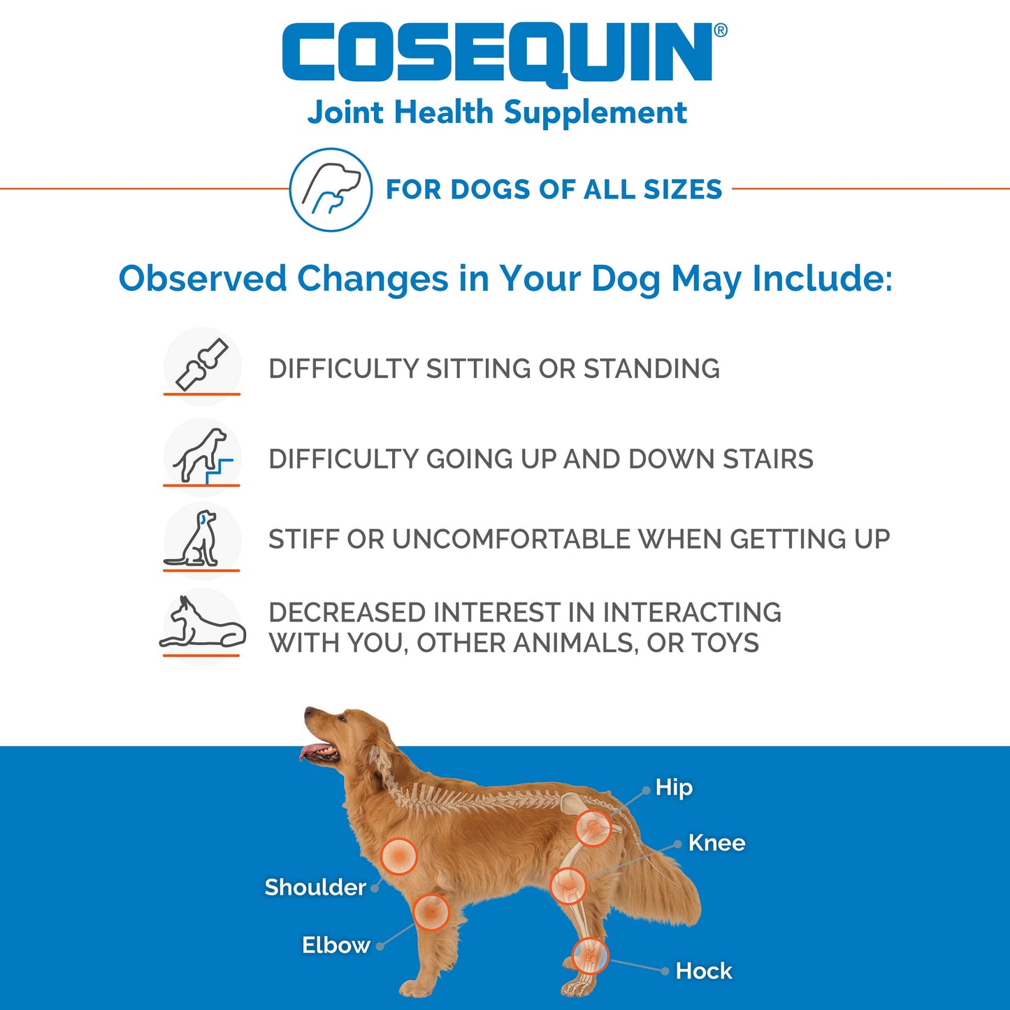 Nutramax Laboratories Cosequin Maximum Strength Joint Health Supplement for Dogs - With Glucosamine, Chondroitin, and MSM, 250 Chewable Tablets