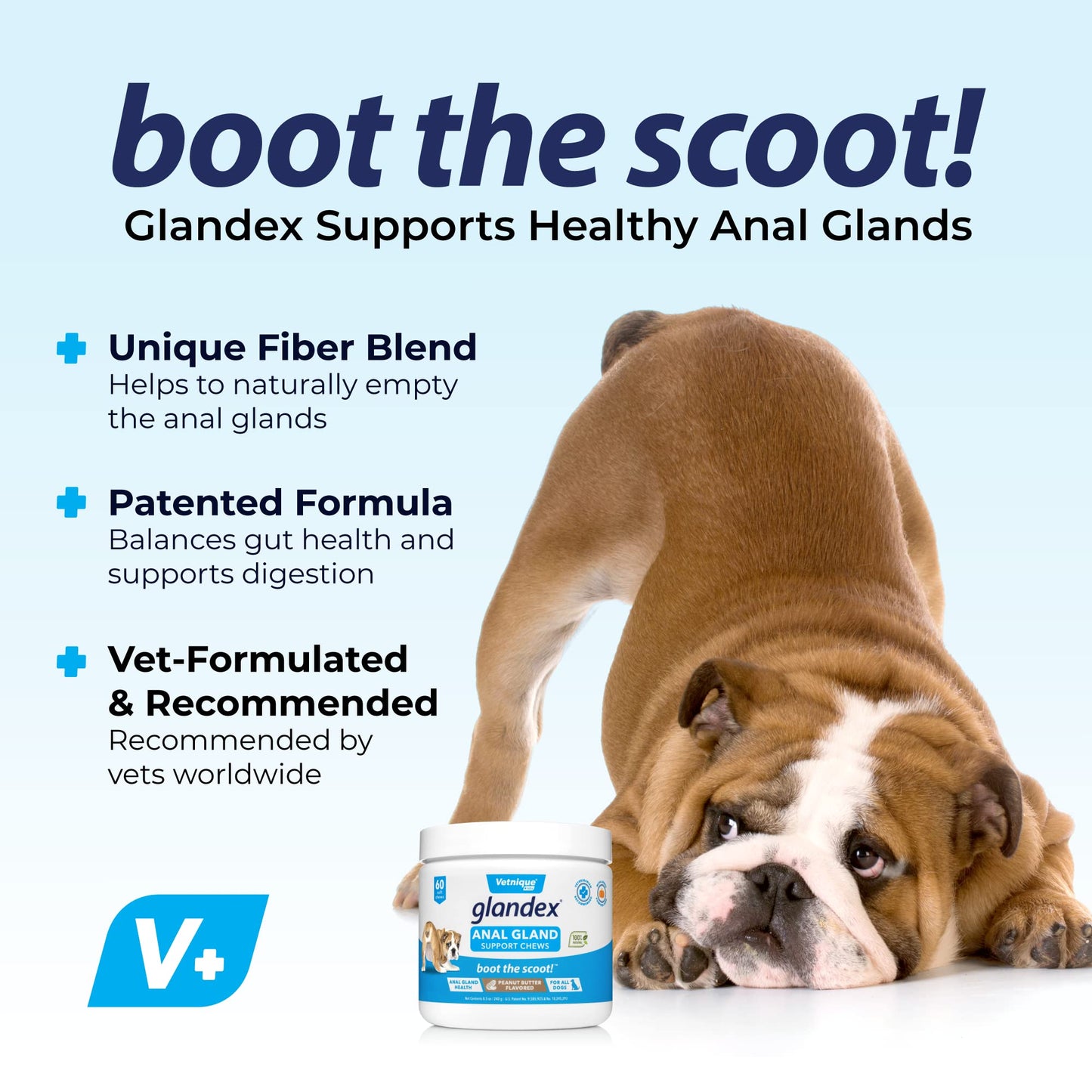 Glandex Anal Gland Soft Chew Treats with Pumpkin for Dogs Digestive Enzymes, Probiotics Fiber Supplement for Dogs Boot The Scoot (Peanut Butter Chews, 60ct)