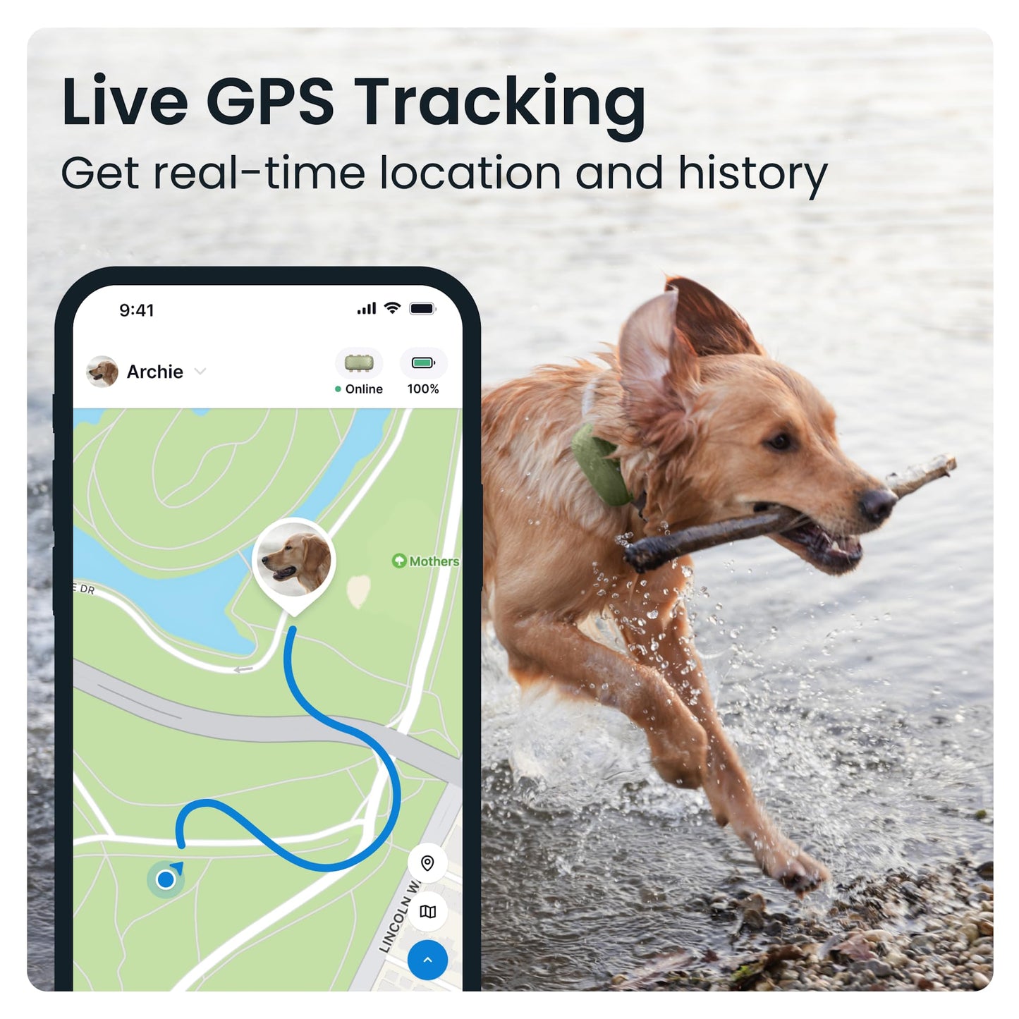 Tractive XL GPS Tracker & Health Monitoring for Dogs (50 lbs+) - Market Leading Pet GPS Location Tracker | Wellness & Escape Alerts | Waterproof | Works with Any Collar (Green)