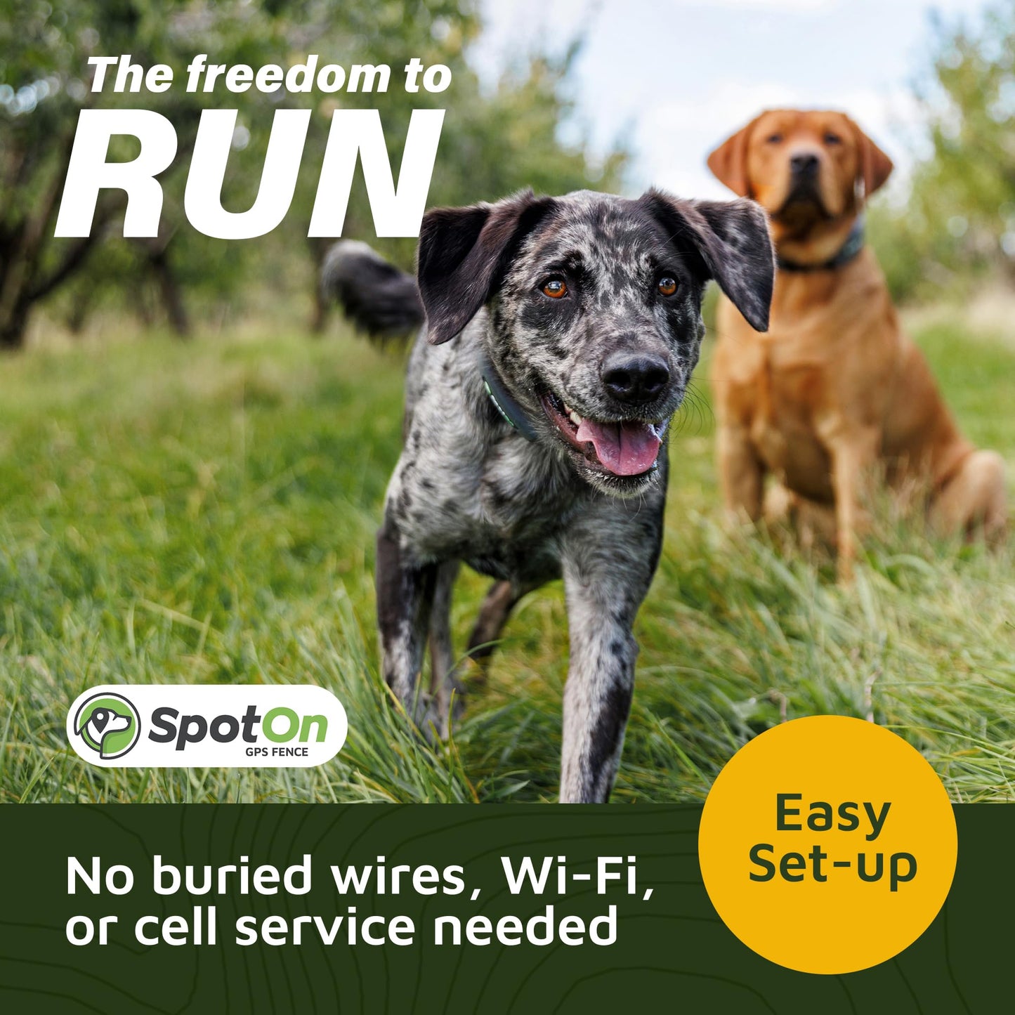 SpotOn GPS Dog Fence, App Based Wireless Dog Fence Collar, Waterproof, Reliable 128 Satellite Network GPS Dog Fence System, Battery Powered Virtual Dog GPS Tracker for All Terrain Medium/Verizon