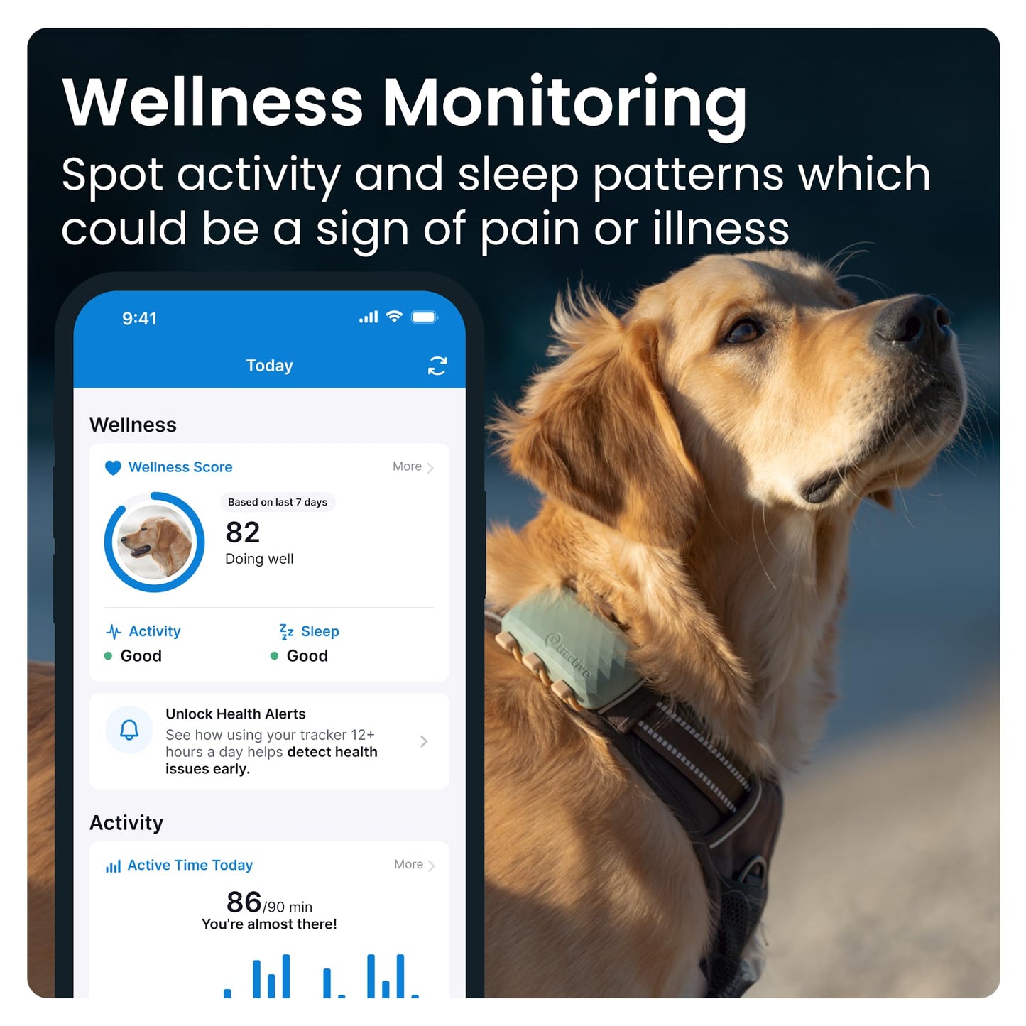 Tractive XL GPS Tracker & Health Monitoring for Dogs (50 lbs+) - Market Leading Pet GPS Location Tracker | Wellness & Escape Alerts | Waterproof | Works with Any Collar (Green)