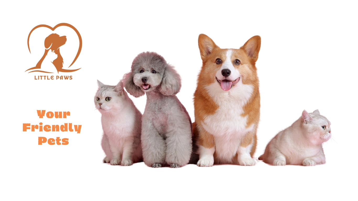 Little Paws banner picture